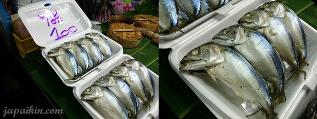 งานปลาทูแม่กลอง-24