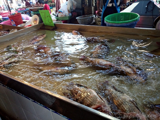 รีวิวโรตีโอ่ง-17
