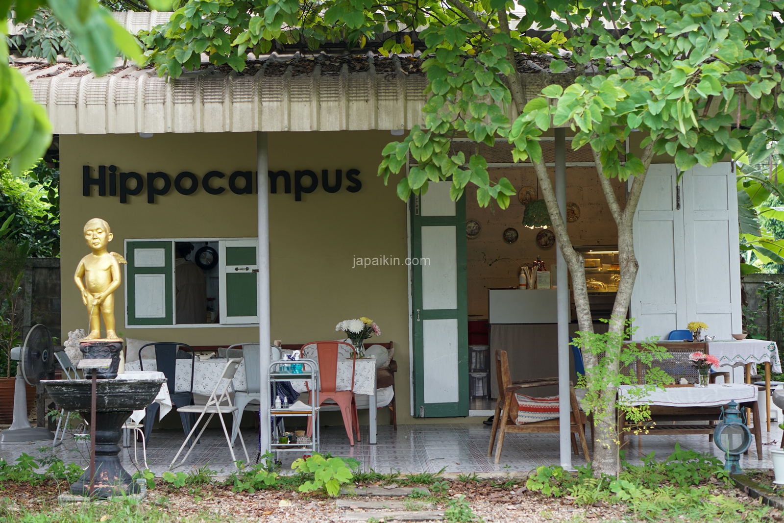 Hippocampus Homestay & Cafe